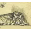 Gaston SUISSE (1896-1988) - Tigre couché et patte.